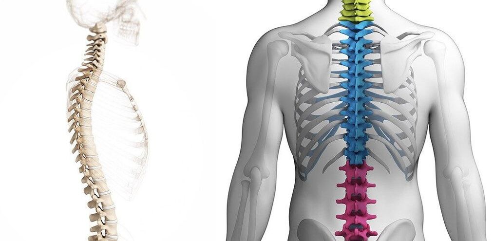 Lesión da columna torácica con osteocondrose